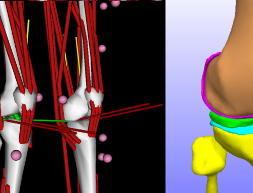 Technical achievement award, Stanford OpenSim workshop