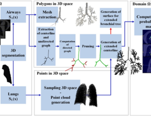 AVATREE: An open-source computational modeling framework modeling Anatomically Valid Airway Tree conformations —  PLoS One, April 2020