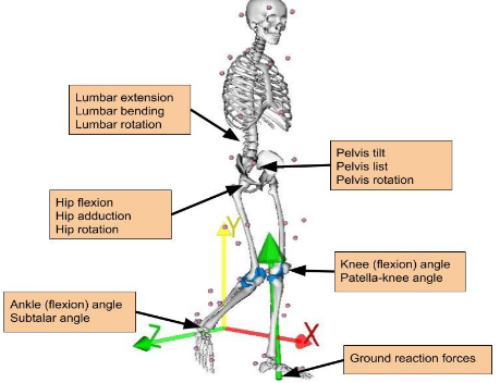 Real-Time Prediction of Joint Forces by Motion Capture and Machine Learning —  Sensors, December 2020