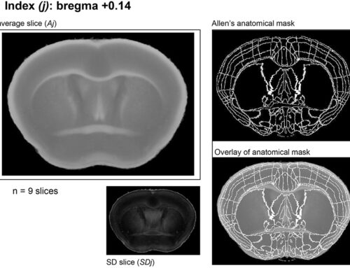 Machine learning based analysis of stroke lesions on mouse tissue sections — Journal of Cerebral Blood Flow & Metabolism 42, February 2022